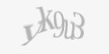 Защитный код