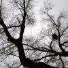 Фотографии Оксаны Богдановой