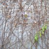 Фотографии Оксаны Богдановой