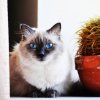 Фотографии Оксаны Богдановой