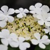 Фотографии Оксаны Богдановой