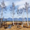 Фотографии Оксаны Богдановой