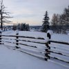 Фотографии Оксаны Богдановой