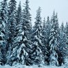 Фотографии Оксаны Богдановой