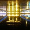 Фотографии Оксаны Богдановой
