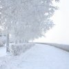 красивый иркутск