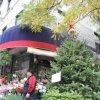 новый год в Нью-Йорке