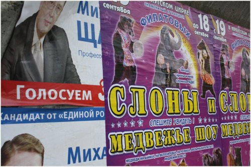 см выб